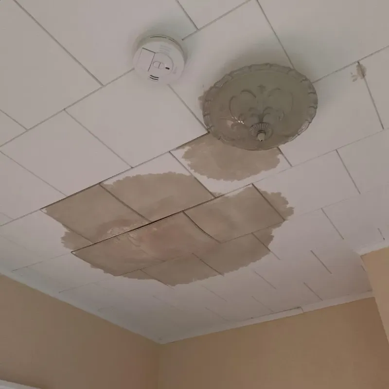 Ceiling Water Damage Repair in Patton Village, TX