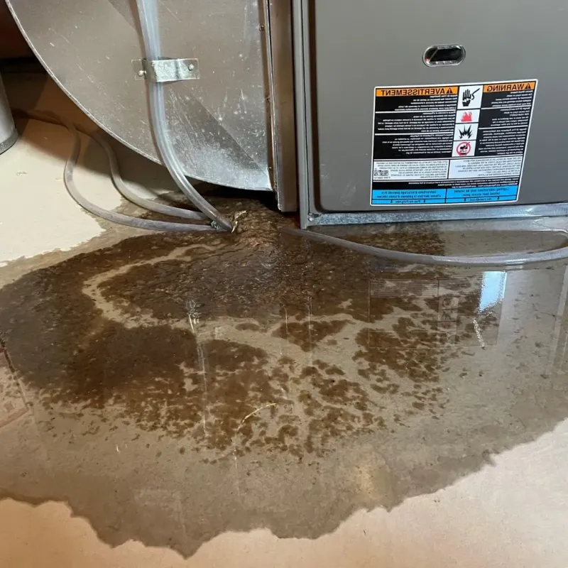 Pipe Burst and Leak Restoration in Patton Village, TX